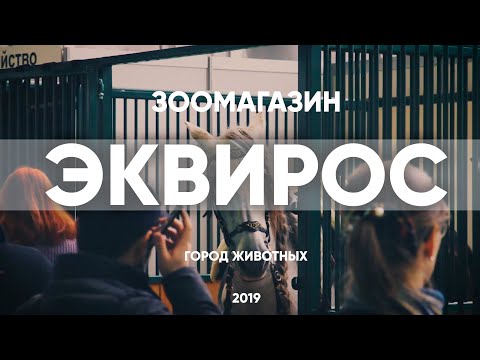 Город Животных Интернет Магазин Город Животных Интернет Магазин